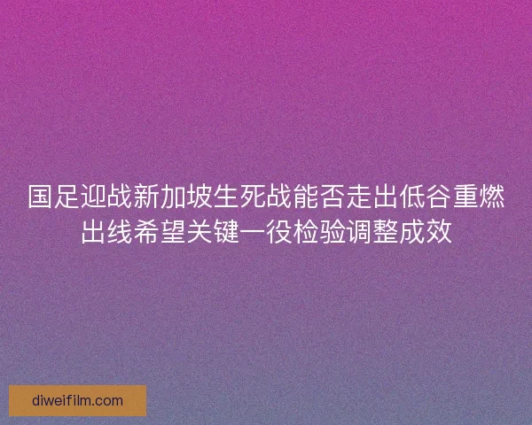 国足迎战新加坡生死战能否走出低谷重燃出线希望关键一役检验调整成效